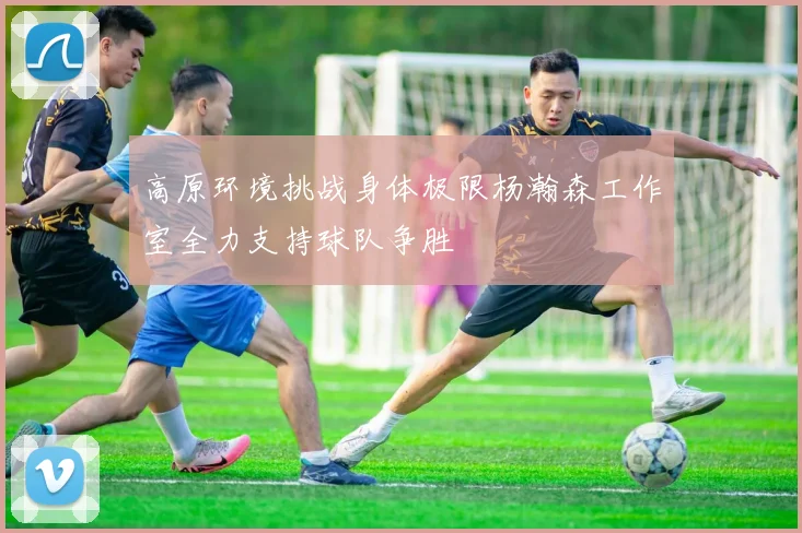 高原环境挑战身体极限杨瀚森工作室全力支持球队争胜